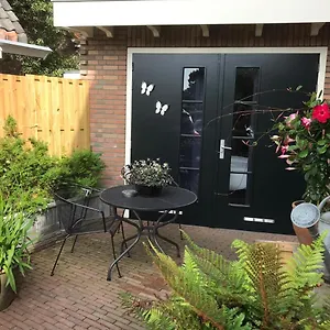 https://studio-appartment-evi.zandvoort-hotels.com